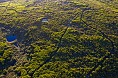 Aerial view of ponds and paths through forest and bush, Grootbos Private Nature Reserve, Western Cape, South Africa