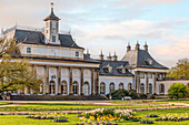 Blumen vor dem Neuen Palais oder Schlossmuseum im Schlosspark Pillnitz im Frühling, Dresden, Sachsen, Deutschland