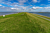 Deich der Halbinsel Nordstrand, Kreis Nordfriesland, Schleswig-Holstein, Deutschland, Europa