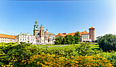 Wawel with cathedral and royal castle in the old town of Kraków in Poland