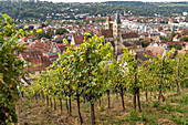 View over a vineyard to Esslingen with the parish church of St. Dionys, Esslingen am Neckar, Baden-Württemberg, Germany