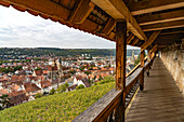 View from the castle city wall over vineyard to Esslingen am Neckar, Baden-Württemberg, Germany