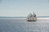 Traditional sailing ship &quot;Luciana&quot; (built in 1916) in the Little Belt between Funen and Jutland in the backlight, Funen, Jutland, Denmark