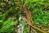 Wooden footbridge leads through the Seisenbergklamm, Seisenbergklamm, Weißbach, Route of the Gorges, Berchtesgaden Alps, Salzburg, Austria