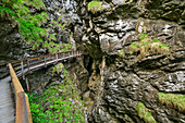 Holzsteg führt durch die Vorderkaserklamm, Vorderkaserklamm, Weißbach, Route der Klammen, Loferer Steinberge, Salzburg, Österreich