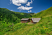 Alpine huts of the Mottland-Grundalm, Salzachgeier, Kitzbühel Alps, Tyrol, Austria