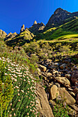 Drakensberg with Column and The Pyramid, Tseketseke Valley, Didima, Cathedral Peak, Drakensberg, Kwa Zulu Natal, UNESCO World Heritage Maloti-Drakensberg, South Africa