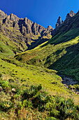Tseketseke-Tal mit Cleft Peak, Column und The Pyramid, Didima, Cathedral Peak, Drakensberge, Kwa Zulu Natal, UNESCO Welterbe Maloti-Drakensberg, Südafrika