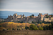 Carcasonne Old City in Autumn, Southern France