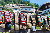 Cattle drive, cow bells, Truden, South Tyrol, Alto Adige, Italy