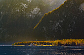 Touristische Bootsfahrt/Schiffahrt auf dem Königssee mit Kirche St. Bartholomä vor Watzmann-Ostwand, Nationalpark Berchtesgaden, Berchtesgadener Alpen, Oberbayern, Bayern, Deutschland