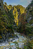 Hiking in the gorge, Almbach, Almbachlamm, gorge, canyon, gorge, Berchtesgaden National Park, Berchtesgaden Alps, Upper Bavaria, Bavaria, Germany