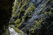 Wandern in der Klamm, Almbach, Almbachklamm, Canyon, Schlucht, Nationalpark Berchtesgaden, Berchtesgadener Alpen, Oberbayern, Bayern, Deutschland