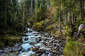 Wandweg Naturlehrpfad am Bach/Fluss Ramsauer Ache, wandern im Zauberwald am Hintersee im Bergsteigerdorf Ramsau. Ramsau bei Berchtesgaden, am Watzmann und Königssee, Nationalpark Berchtesgaden, Berchtesgadener Alpen, Oberbayern, Bayern, Deutschland