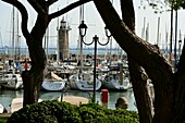 im Hafen von Desenzano, südlicher Gardasee, Lombardei, Italien