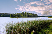 Jezioro Góreckie im Nationalpark Großpolen (Wielkopolski Park Narodowy) in der Woiwodschaft Wielkopolska in Polen