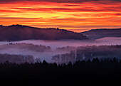 Morning twilight, Palatinate Forest, Rhineland-Palatinate, Germany
