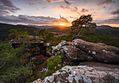 Sprinzelfelsen at sunset in November, Palatinate Forest, Rhineland-Palatinate, Germany