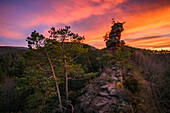 Abendrot am Lämmerfelsen, Dahn, Pfälzerwald, Rheinland-Pfalz, Deutschland