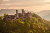 Burgruine Altdahn im Morgenlicht, Dahn, Rheinland-Pfalz, Deutschland