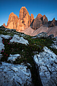 Drei Zinnen bei Sonnenuntergang, Dolomiten, Südtirol, Italien