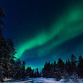 Lautloses Spektakel; Aurora Borealis, Polarlichter in Finnland, Ylläsjärvi