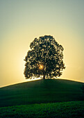 Translucent; Switzerland, Canton of Zug