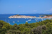 Blick auf die Halbinsel Primosten, Dalmatien, Kroatien
