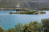 Muschelzucht in Ston, Dalmatien, Kroatien