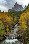 Herbst am Schwarzgriesbach und dem Berg Schlern in Seis am Schlern, Südtirol, Italien, Europa