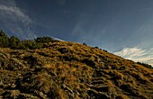 Wanderer beim Aufstieg am Steilhang des Schafberg am frühen Morgen, Schafberg, Salzammergut, Österreich