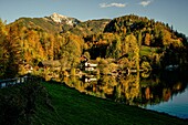 Weiler Brunnwinkl in St. Gilgen am Wolfangsee im Herbst, im Hintergrund der Schafberg, Salzburger Land, Österreich