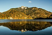 Schafberg im Salzkammergut im Herbst, gespiegelt im Wolfgangsee, St. Gilgen, Salzburger Land, Österreich