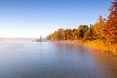 Autumn morning at Lake Starnberg