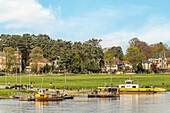 Elbe Fährschiffe (Schlossfähre) vor dem Schlosspark Pillnitz, Dresden, Sachsen, Deutschland