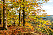 View from Bastei viewpoint in autumn, Saxon Switzerland, Saxony, Germany