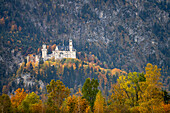 Das Schloss Neuschwanstein in der Landschaft des Schwangau, Allgäu, Bayern, Deutschland 