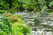 Japanese Garden (Ogród Japoński, Ogrod Japonski) in Scheitniger Park (Park Szczytnicki) in Wrocław (Wroclaw, Breslau) in Dolnośląskie Voivodeship of Poland