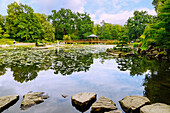 Japanischer Garten (Ogród Japoński, Ogrod Japonski) im Scheitniger Park (Park Szczytnicki) in Wrocław (Wroclaw, Breslau) in der Woiwodschaft Dolnośląskie in Polen