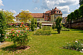 Kurpark and rose garden in the state spa Bad Kissingen, Lower Franconia, Franconia, Bavaria, Germany