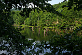 Lochbornsee nature reserve near the town of Bieber, municipality of Biebergemünd, Spessart Nature Park, Hesse, Bavaria, Germany