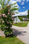 Kurpark and rose garden in the state spa Bad Kissingen, Lower Franconia, Franconia, Bavaria, Germany