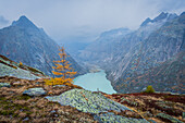 Herbst im Grimselgebiet; Kanton Bern, Schweiz