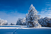 Winterlandschaft im Jura; Kanton Solothurn, Schweiz