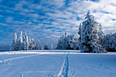 Winter landscape in the Jura region; Canton of Solothurn, Switzerland