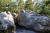 Felsformationen im Felslabyrinth Błędne Skały (Bledne Skaly) im Heuscheuergebirge (Góry Stołowe Nationalpark) im Glatzer Bergland in der Woiwodschaft Dolnośląskie in Polen