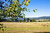 Hügellandschaft mit abgeernteten Getreidefeldern und Blick in das Riesengebirge bei Miszkowice in der Woiwodschaft Dolnośląskie in Polen