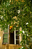 Fenster im Schatten an einem heißen Sommertag in der mittelalterlichen Stadt Arles, Frankreich.