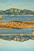 Double exposure of people bathing in the Mediterranean sea near Marseille, France