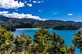 Blick auf den Abel-Tasman-Nationalpark von Wanderwegen im Park in der Nähe des Nelson Tasman Nationalpark auf der Südinsel Neuseeland